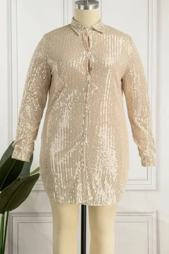 Ivory Silver Sequin Shirt Dress