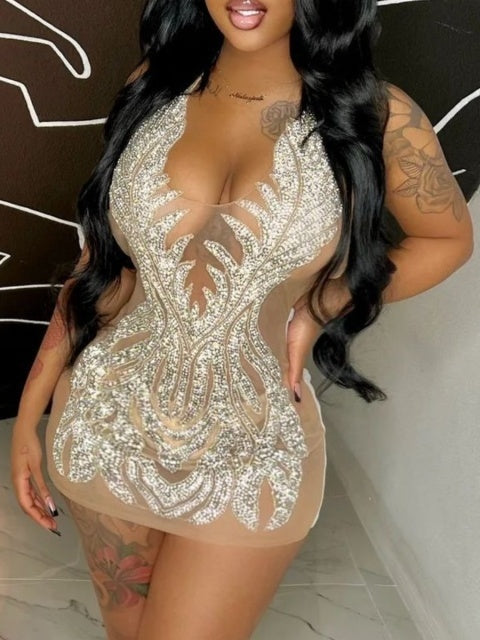 Nude & Silver Rhinestone Mesh Mini Dress