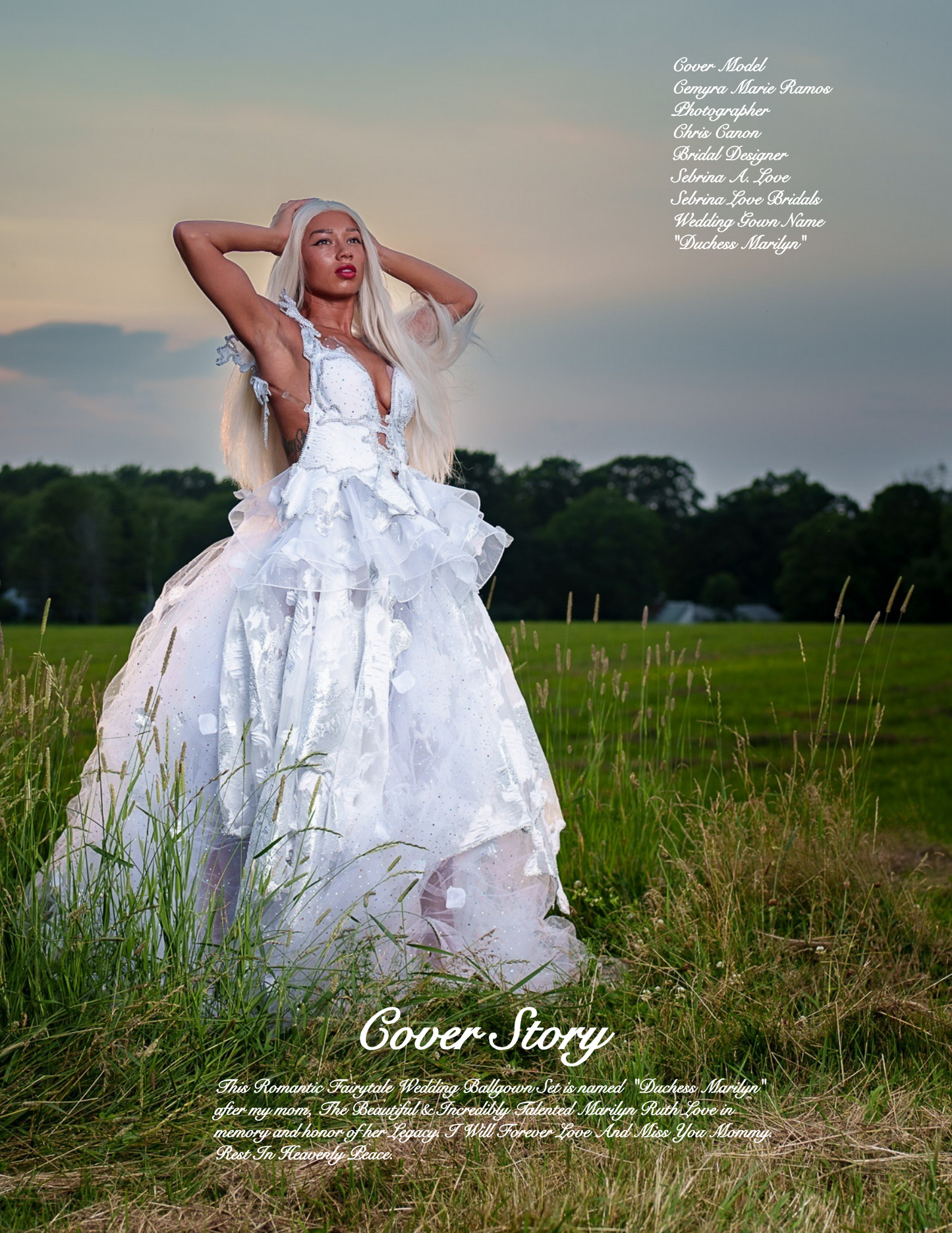 "DUCHESS MARILYN" White & Silver Embroidered Organza Crystal Wedding Ballgown Set