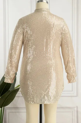 Ivory Silver Sequin Shirt Dress