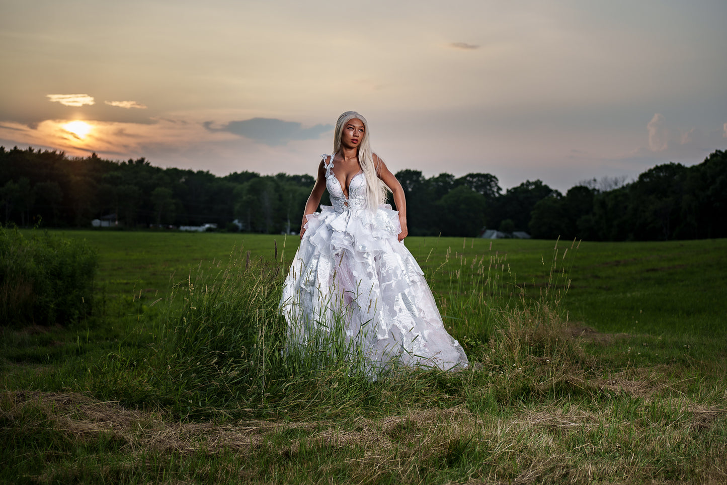 "DUCHESS MARILYN" White & Silver Embroidered Organza Crystal Wedding Ballgown Set