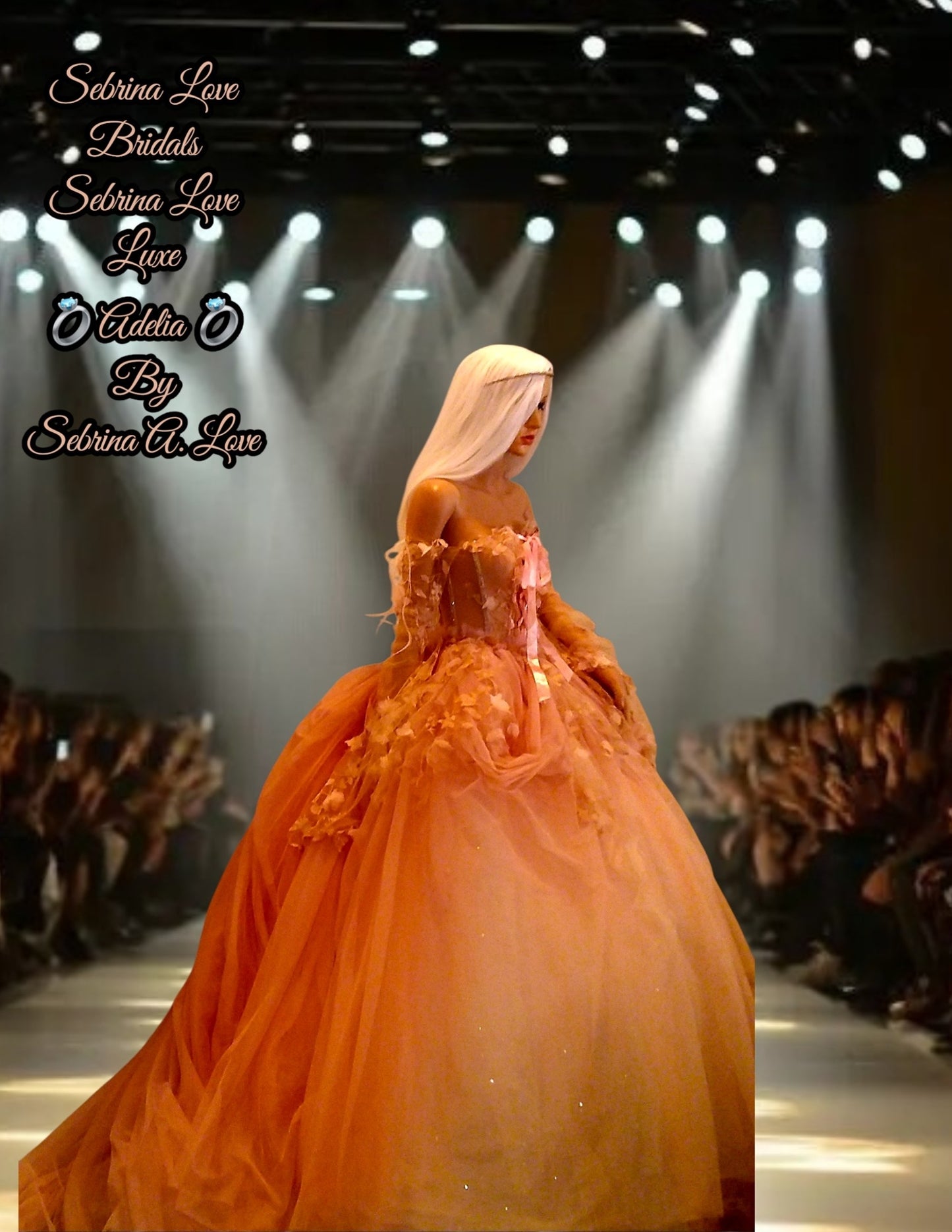 "ADELIA" Blush Lace & Tulle Wedding Ballgown Set