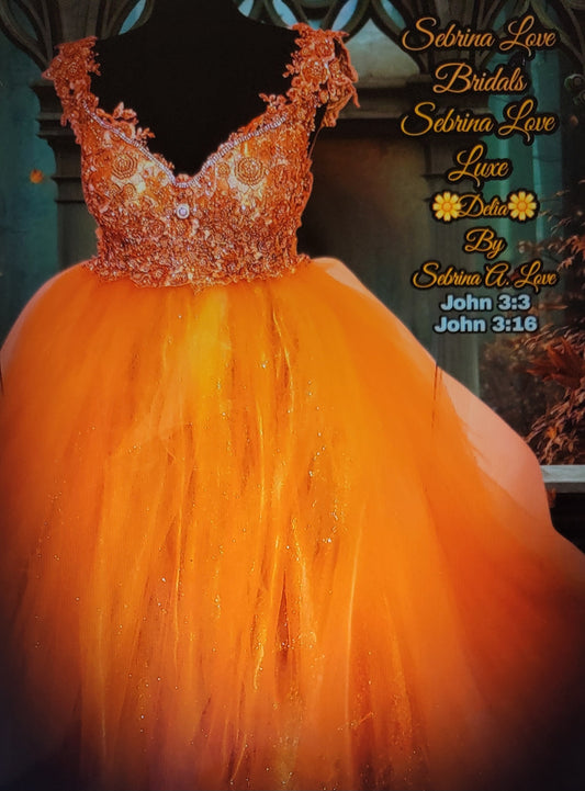 The 🌼DELIA🌼 Crystal Gold Embroidered Lace Boho Festival Wedding Ballgown Set (Custom Order)